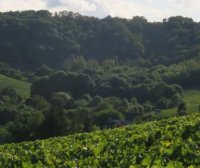 Domaine Vincent Delaporte