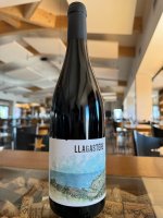 Llagastere 2021 75cl rouge - Domaine Llagastere