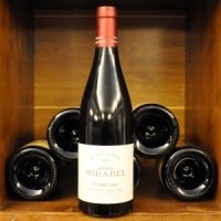 Chant du Sorbier 2022 75cl rouge - Domaine Mirabel